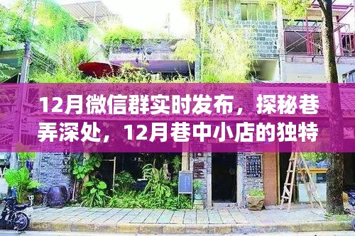 探秘巷弄深处的独特风情，十二月巷中小店与微信群实时发布之旅