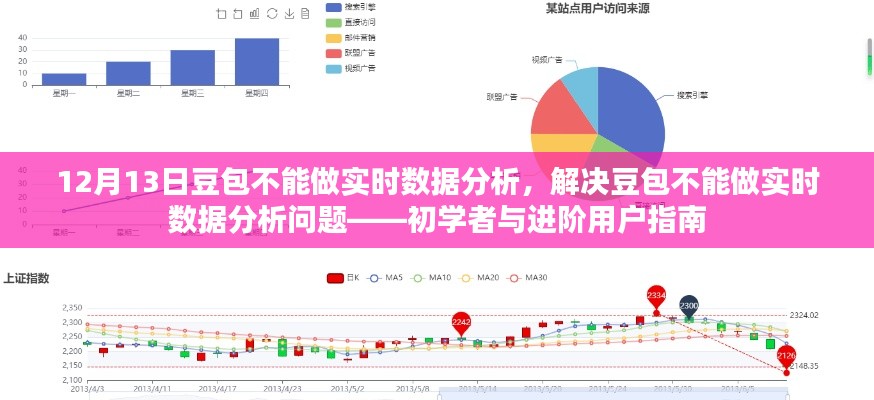 解决豆包实时数据分析问题，初学者与进阶用户指南