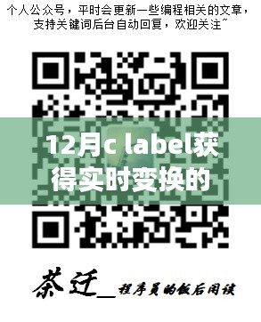 十二月C语言标签实现动态数据获取，实时变化值获取方法