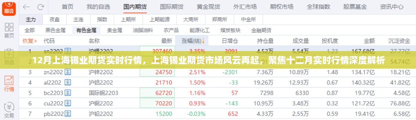 第1113页