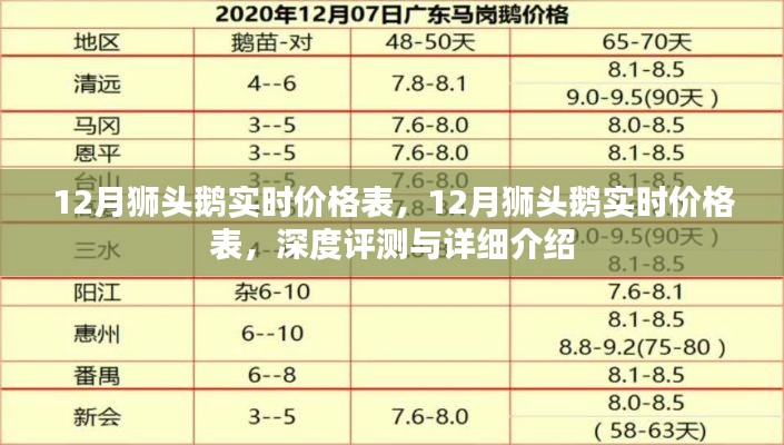 最新12月狮头鹅实时价格表及深度评测与详细介绍