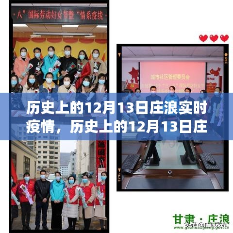 历史上的庄浪实时疫情回顾与洞察，聚焦十二月十三日数据