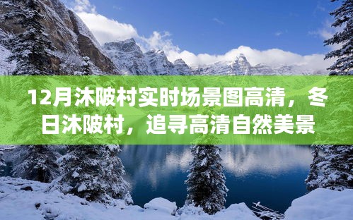 冬日沐陂村高清实时场景图，探寻自然美景，解锁内心宁静的密码