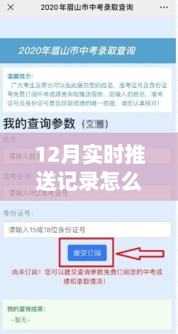 12月实时推送记录查询系统详解与评测，如何查询记录及系统介绍