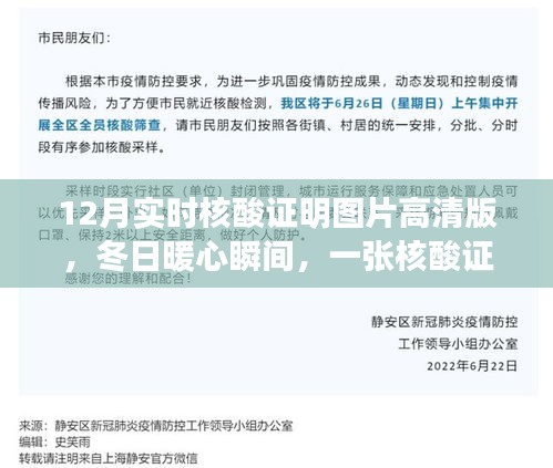 冬日温情瞬间，高清核酸证明图片背后的故事