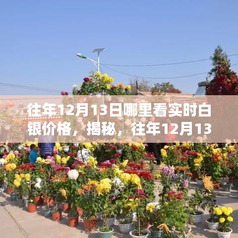 揭秘，如何实时观测往年及特定日期（如12月13日）白银价格走势的途径