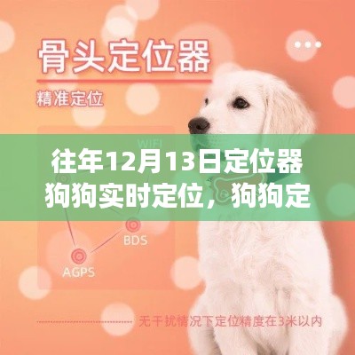 狗狗定位器的奇妙日，如何在变化中学习并自信闪耀