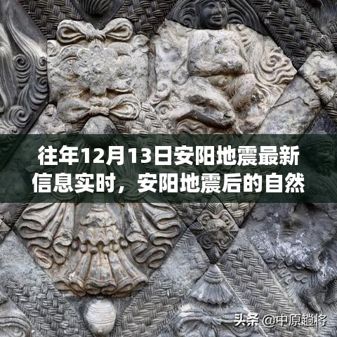 追寻内心平静的奇妙旅程，安阳地震后的自然探索与实时信息解读