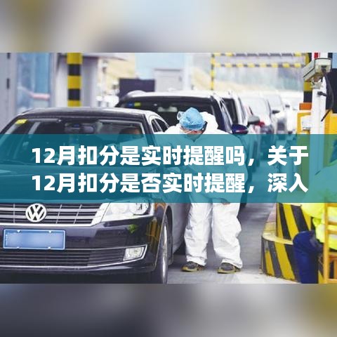 关于12月扣分是否实时提醒的深入剖析与探讨其合理可能性