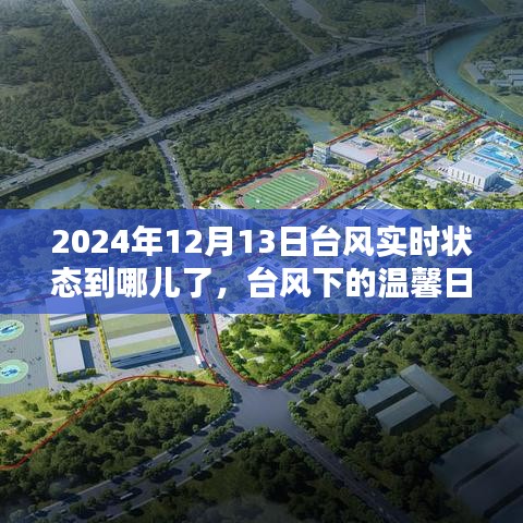 台风下的温馨日常与奇妙经历，2024年台风实时追踪