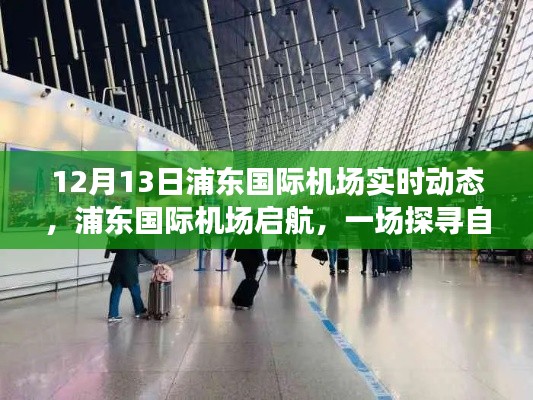 质而不俚 第3页