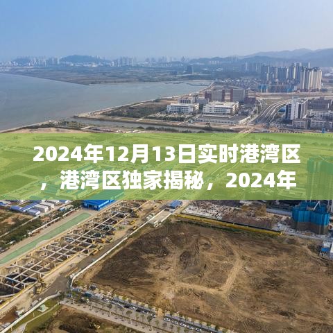 港湾区独家揭秘，最新实时动态报告（2024年12月13日）
