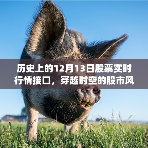 探寻历史上的股票风云，揭秘股市行情接口穿越时空之旅——以十二月十三日为例
