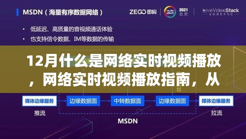 网络实时视频播放详解，从入门到精通的指南（适合初学者与进阶用户）