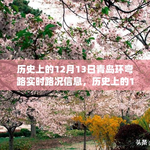 青岛环弯路逆风砥砺行，历史上的路况变迁与励志篇章