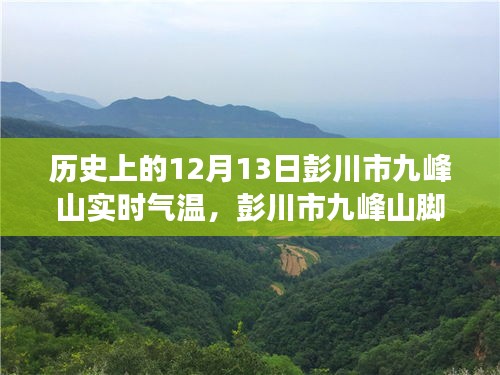鸟飞兔走 第2页