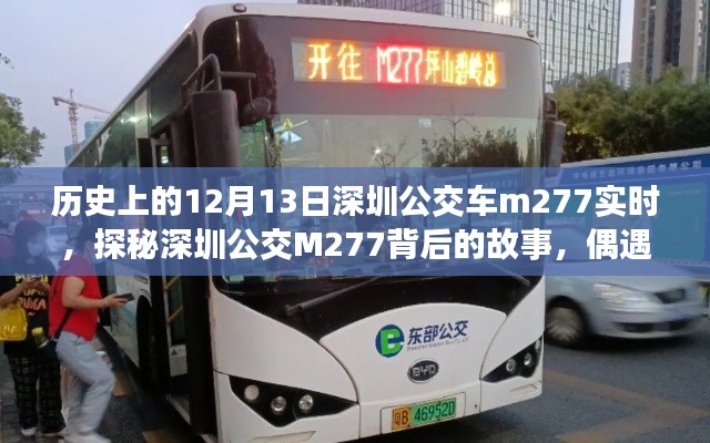 探秘深圳公交M277背后的故事，偶遇小巷深处小店的独特风味记录（12月13日实时）