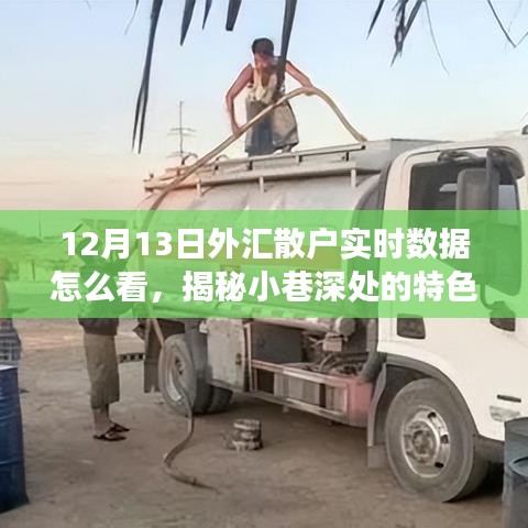 揭秘外汇散户实时数据解读秘籍，小巷特色小店的外汇数据观察指南