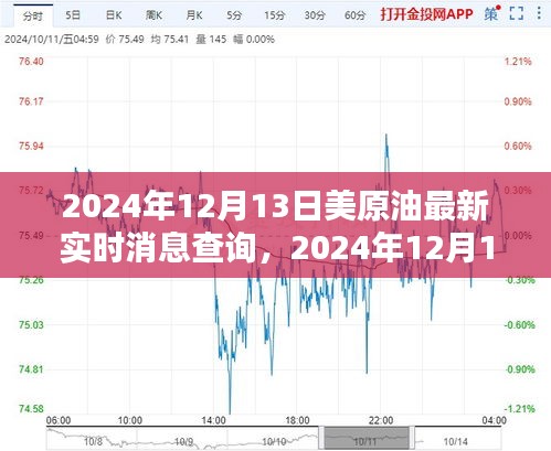 2024年12月13日美原油实时消息查询指南