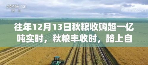秋粮丰收时节，自然之旅与丰收喜悦的双重体验，探寻内心的宁静之洲
