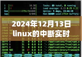 Linux中断的奇妙冒险与友情纽带，一则关于实时性的温馨小故事（发生在2024年12月13日）