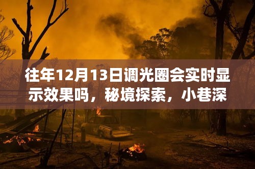 秘境探索与光圈魔法，实时调整光圈，发现小巷深处的特色小店魅力