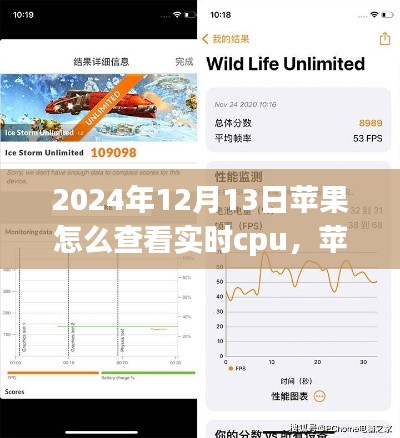 全始全终 第2页