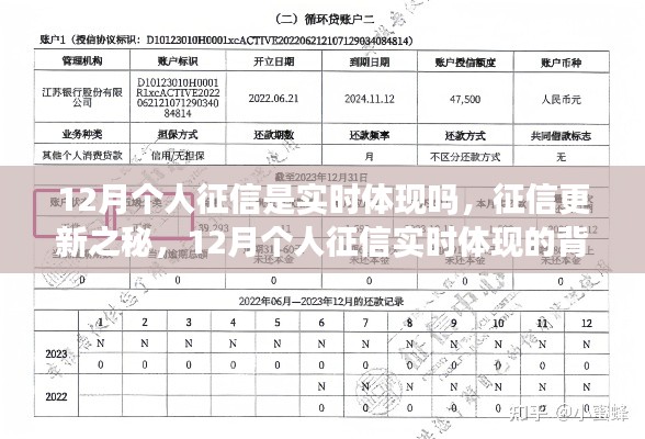 揭秘，12月个人征信实时更新背后的影响与洞察
