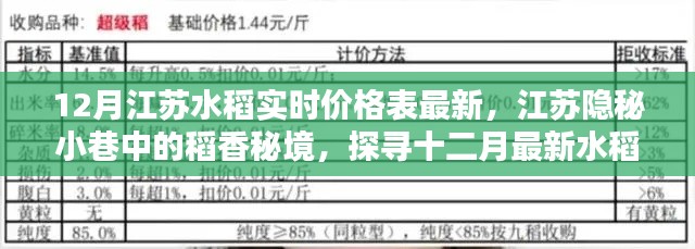 江苏稻香秘境，十二月水稻实时价格与美食探寻之旅