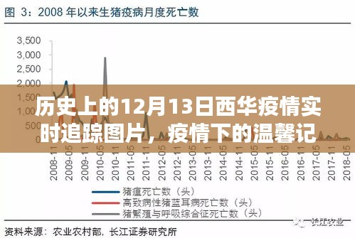 历史上的西华疫情追踪，温馨记忆与特殊日常——十二月十三日的西华疫情图片回顾