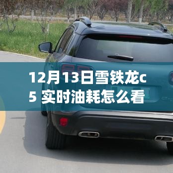 揭秘雪铁龙C5实时油耗查看方法与驾驶秘籍，探寻小巷特色小店！
