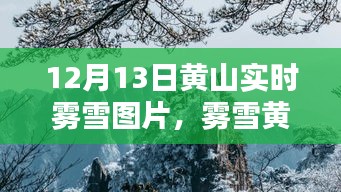 雾雪黄山，仙境再现，实时美景图片分享