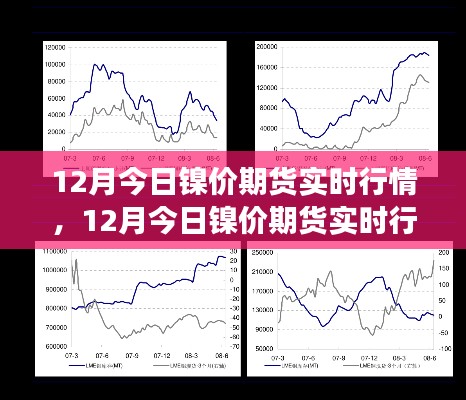 最新镍价期货行情分析与预测，市场走势及实时报价