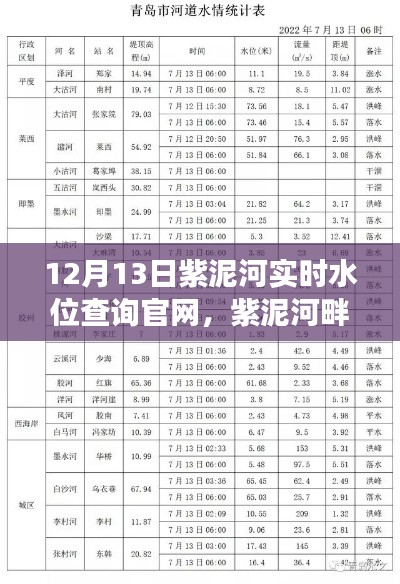 紫泥河温情水位与家的故事，实时水位查询官网揭秘