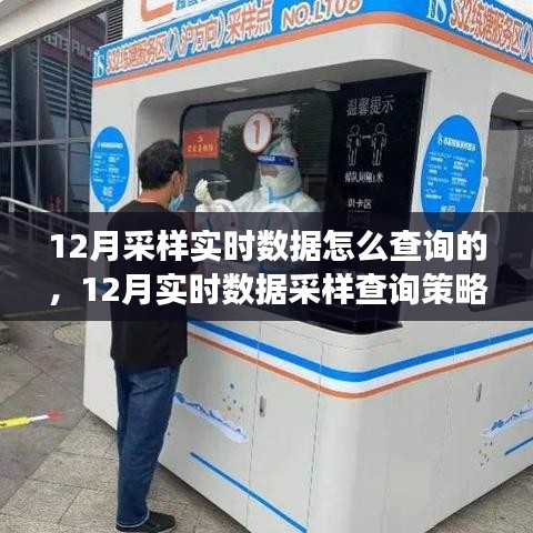 12月实时数据采样与查询策略解析，多方观点探讨及个人立场
