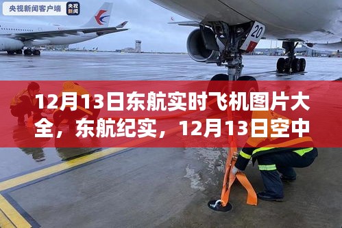 东航实时飞机纪实，空中巨翼的翱翔与影响，12月13日实拍图片大全