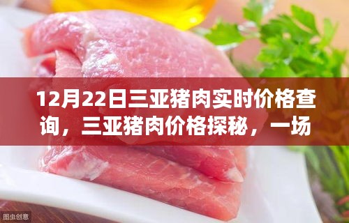 三亚猪肉价格探秘，一场寻找价格与心灵平静的旅行之旅