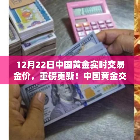 雍容华贵 第3页