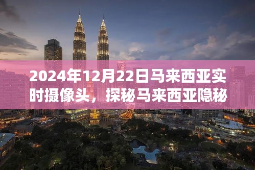 探秘马来西亚特色小店，实时摄像头下的隐秘日常（2024年12月22日）