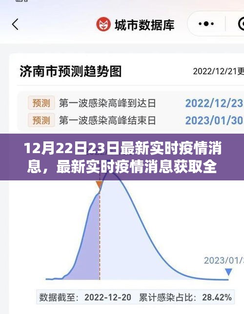 12月22日至23日最新实时疫情消息汇总与获取全攻略