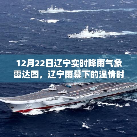 辽宁雨幕下的温情时光，雷达图揭示雨中美妙日常