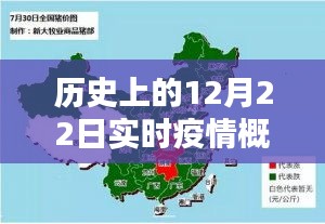 历史上的12月22日实时疫情概况深度解析与回顾