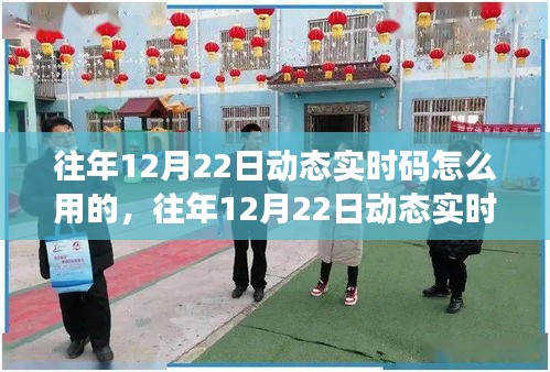 往年12月22日动态实时码应用指南，深度操作与实用技巧