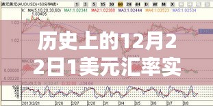 揭秘历史上的12月22日美元汇率走势，洞悉货币价值波动实时数据