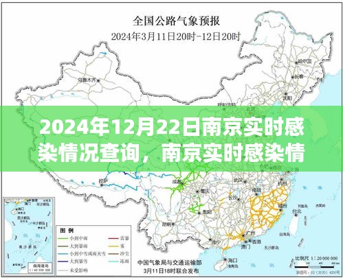 南京实时感染情况深度解析与观点阐述，2024年12月22日最新数据报告