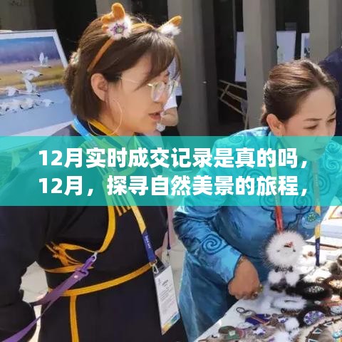 探寻自然美景的旅程，揭秘十二月实时成交记录的真实与美好