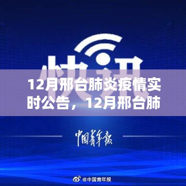 12月邢台肺炎疫情实时公告，最新动态与概览