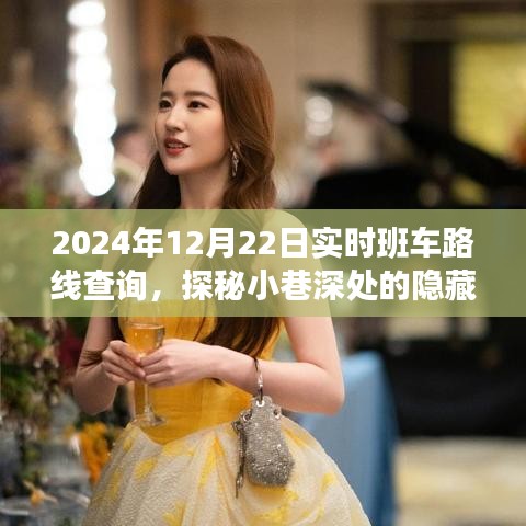 探秘隐藏宝藏与美味奇缘，实时班车路线查询指南（2024年12月22日）