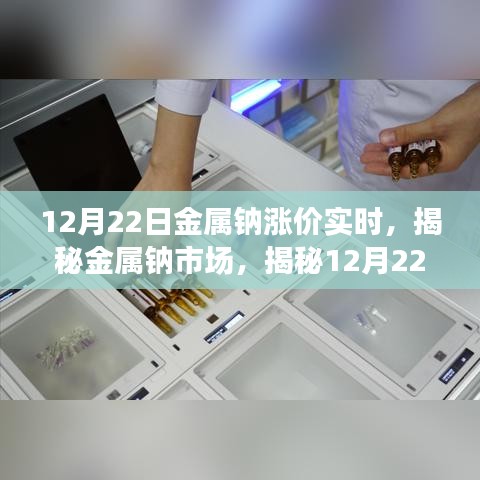 揭秘金属钠市场，涨价背后的实时动态（12月22日更新）