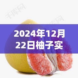 2024年柚子产品深入评测与实时介绍图片体验报告